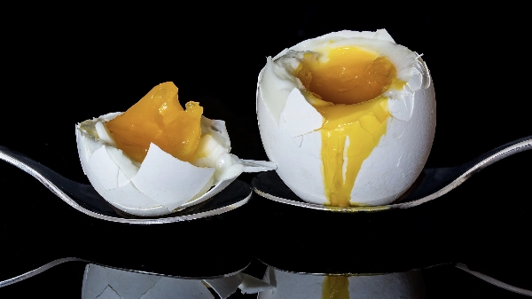 The Boiled Egg Diet The Boiled Egg Diet