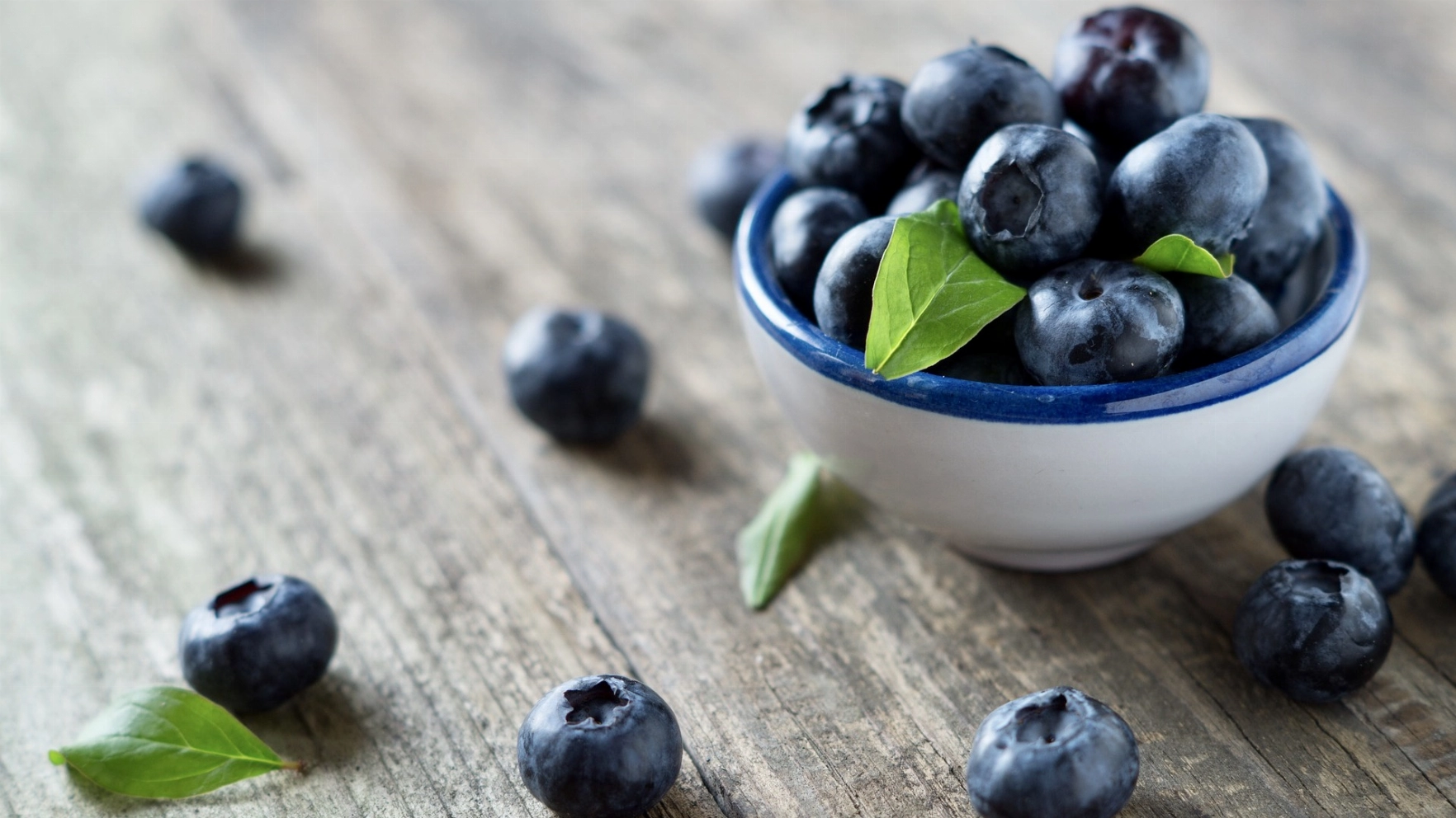 Blueberries: Why They Should Be A Must-Have Fruit?