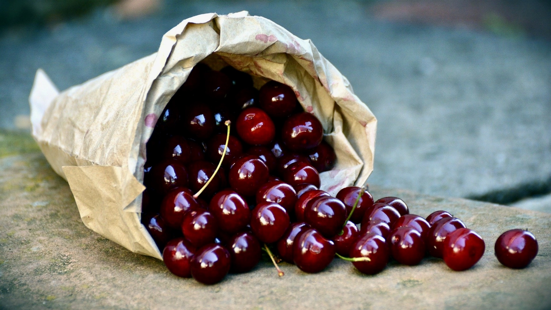 Cherry Juice with Highest Amount of Anthocyanins Is Best For Gout Treatment