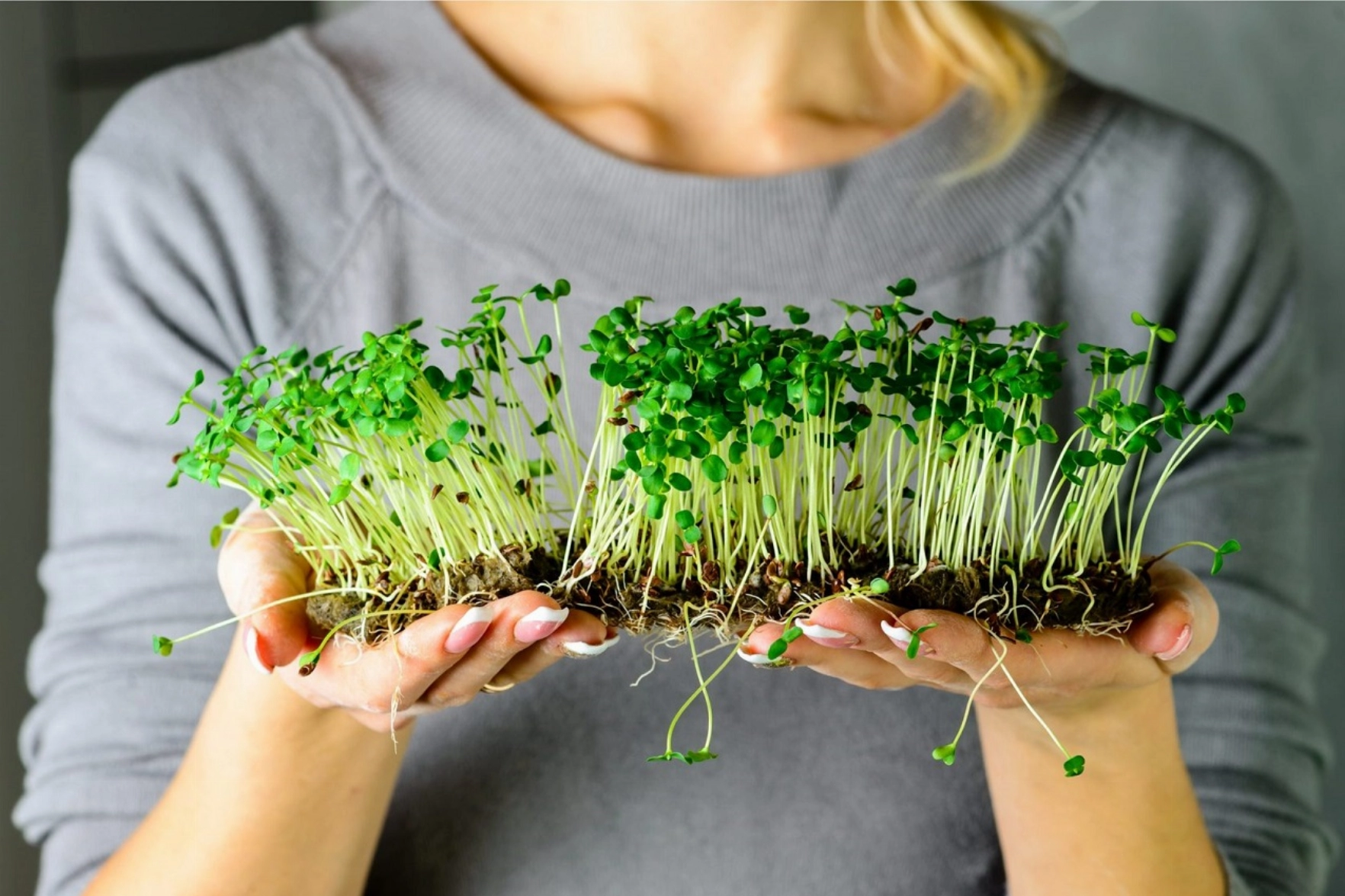 Micro-Greens