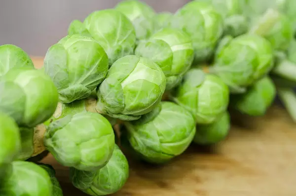 Brussel Sprouts