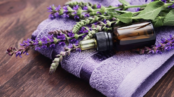 Lavender Oil