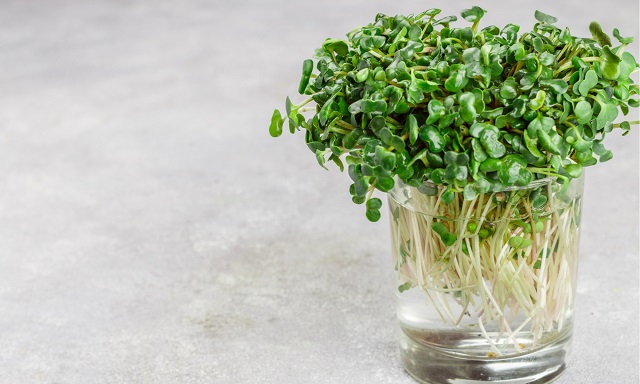 Micro-Greens