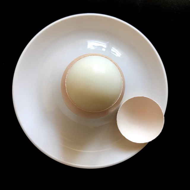 The Boiled Egg Diet