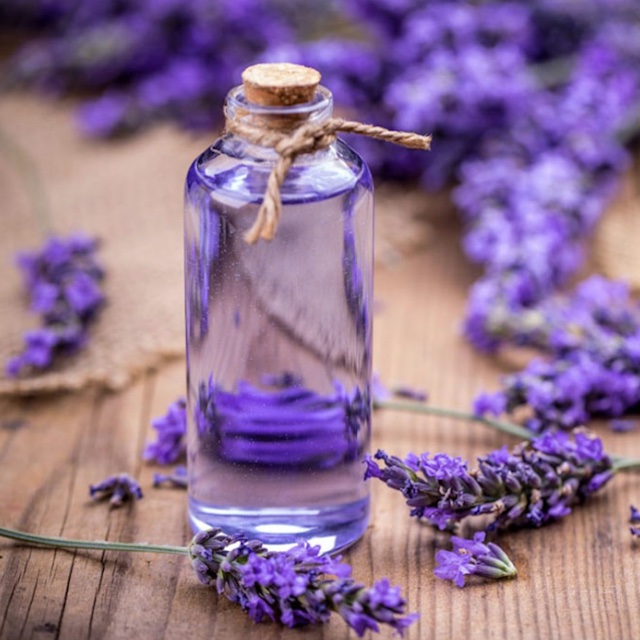 Lavender Oil