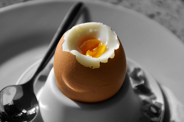 The Boiled Egg Diet