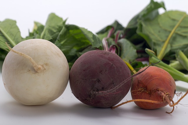 Know Interesting Facts about Beets