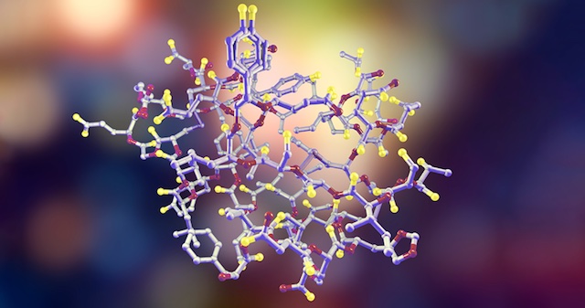 Anti-Mullerian Hormone