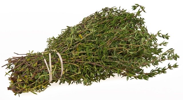 The Most Common Cooking Herbs On The Globe