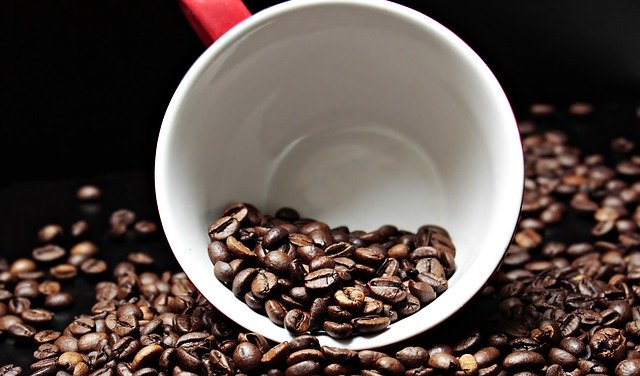 Decaf vs Regular Coffee: Which One Should You Choose?