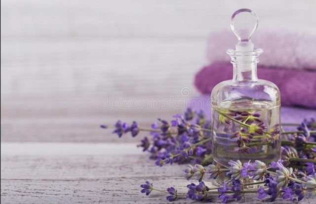 Lavender Oil