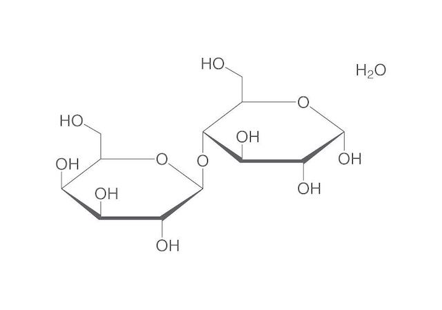 Lactose Intolerance: Everything You Need to Know About It