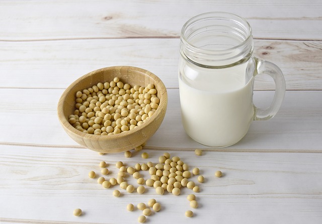 Effect of Soy on Breast Cancer