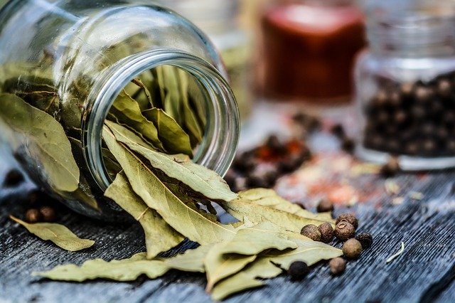 The Most Common Cooking Herbs On The Globe