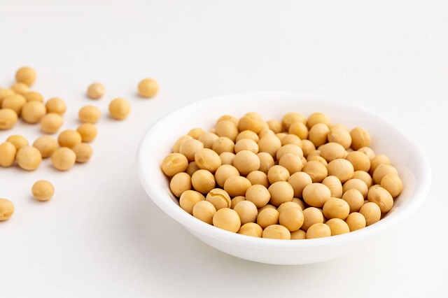 soybean