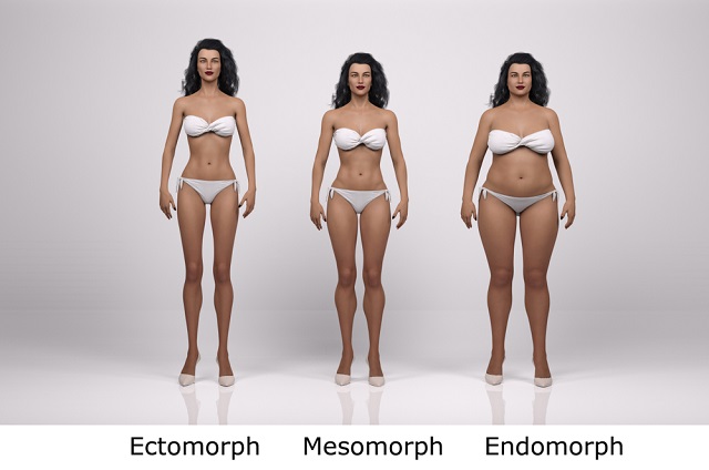 Ectomorph