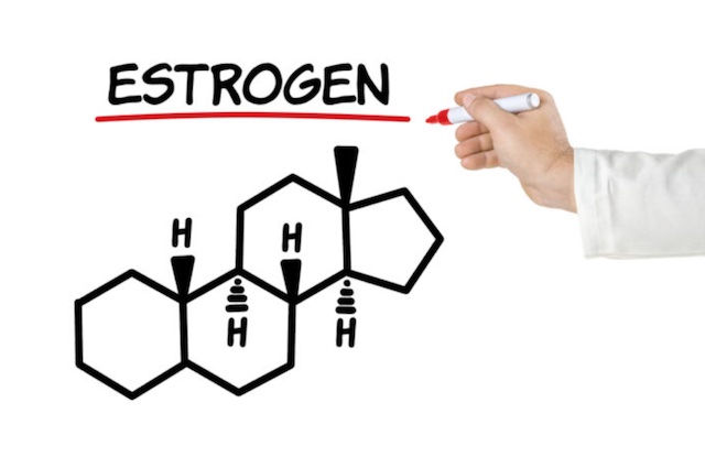 Estrogen