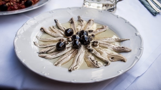 Anchovies Are More than Just a Fish